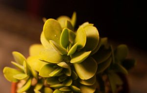 pexels-dich-ken-207746132-13150582