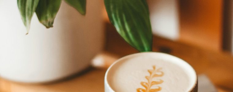 The best coffee table plants