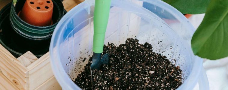 Gardening budget