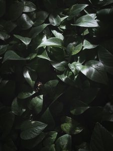 pexels-valeriia-slobodeniuk-340349257-21822402