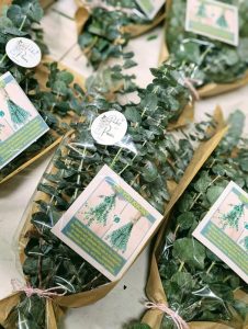 eucalyptus shower