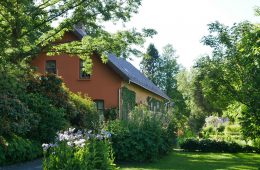 jakob-gausvik-tvedt-PCEpcYpDJbY-unsplash copy