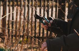 pexels-boryslav-20579988