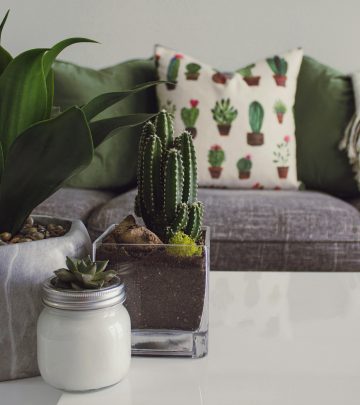 pexels-designecologist-1005058