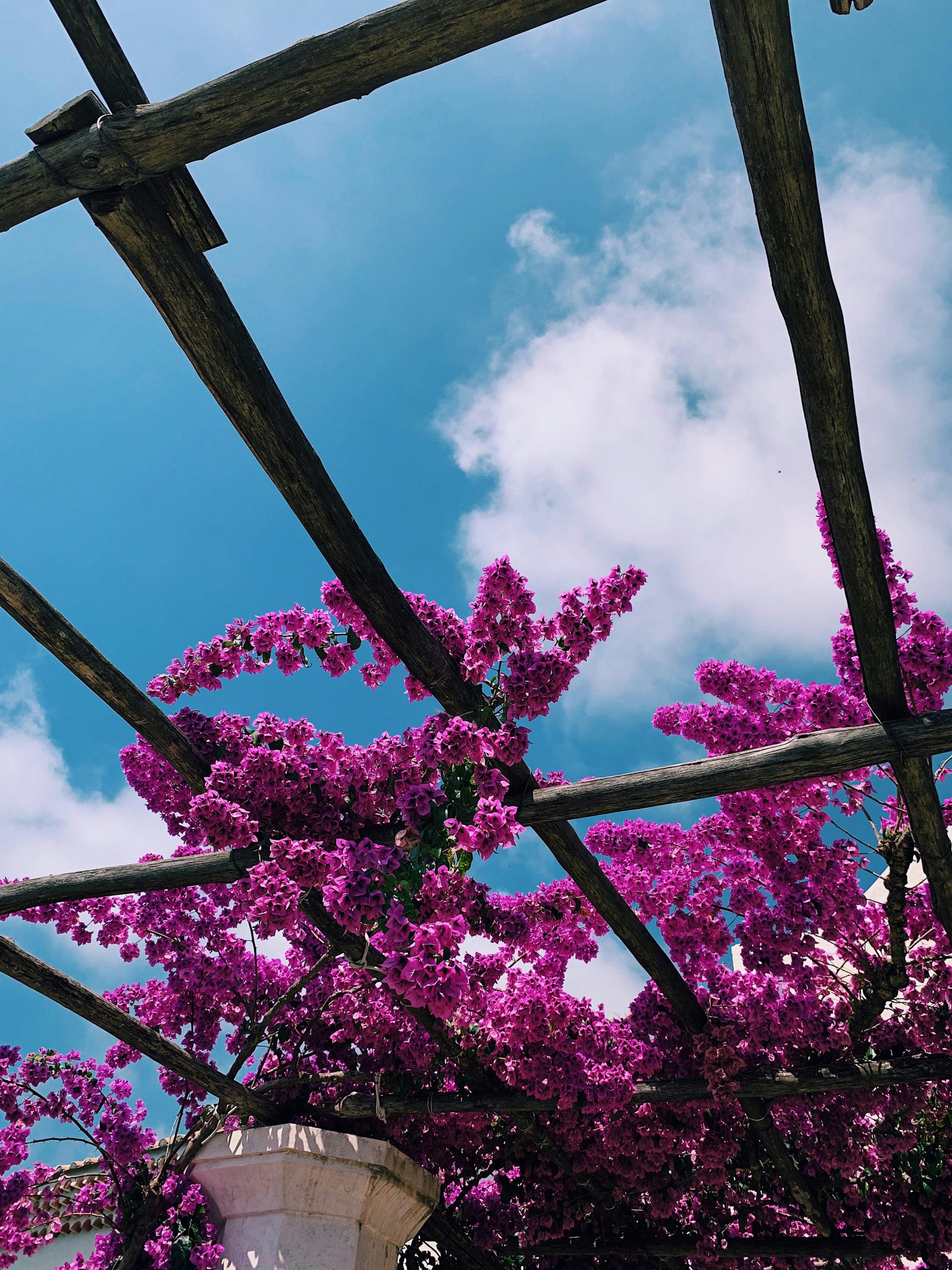 pexels-mikegiugliano-2928032