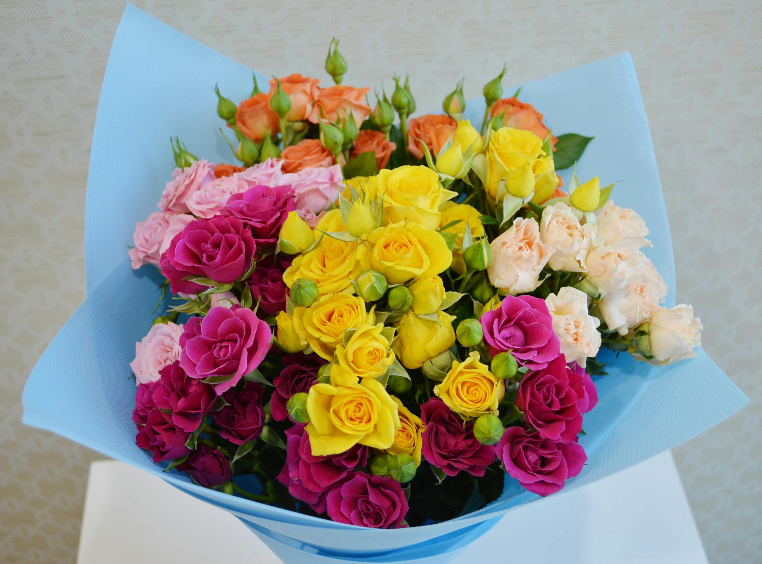 pexels-rehman-yousaf-321165099-30319662
