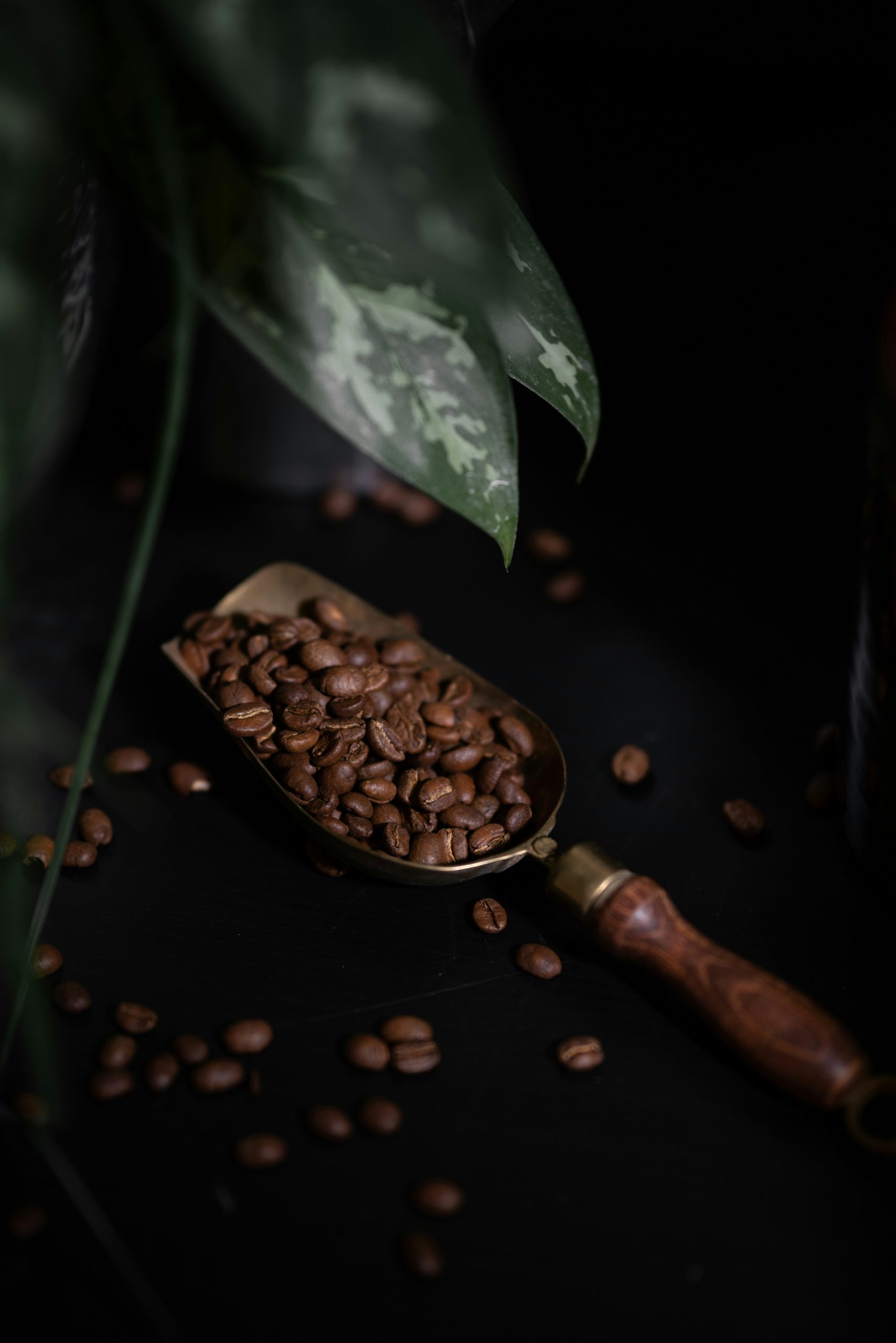 daniel-tafjord-7GTxjNejlwg-unsplash