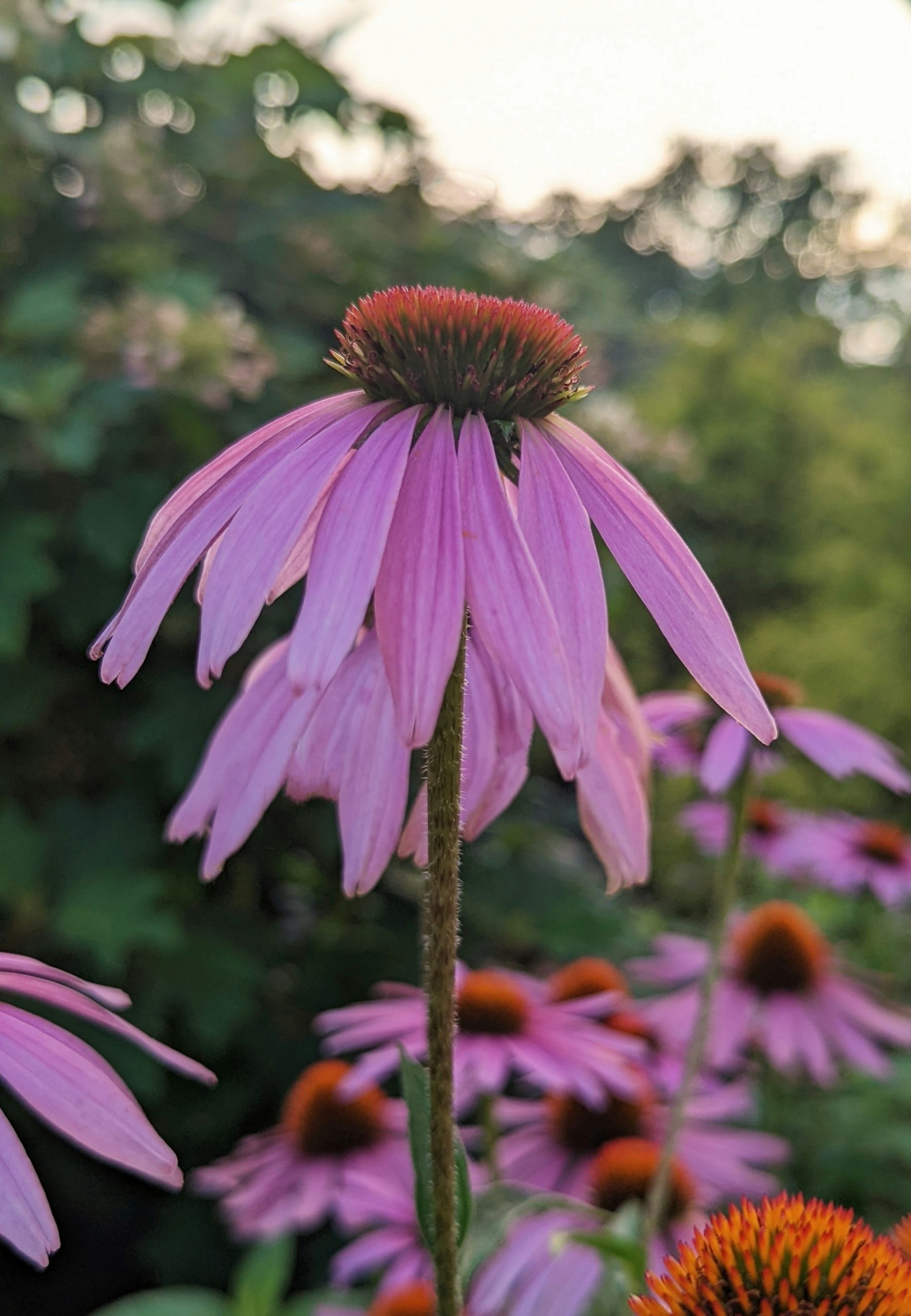 kathleen-culbertson-2KRdwJSP430-unsplash