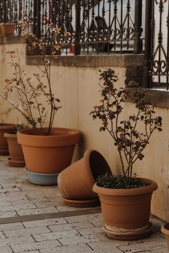 How to stop terracotta pots from cracking