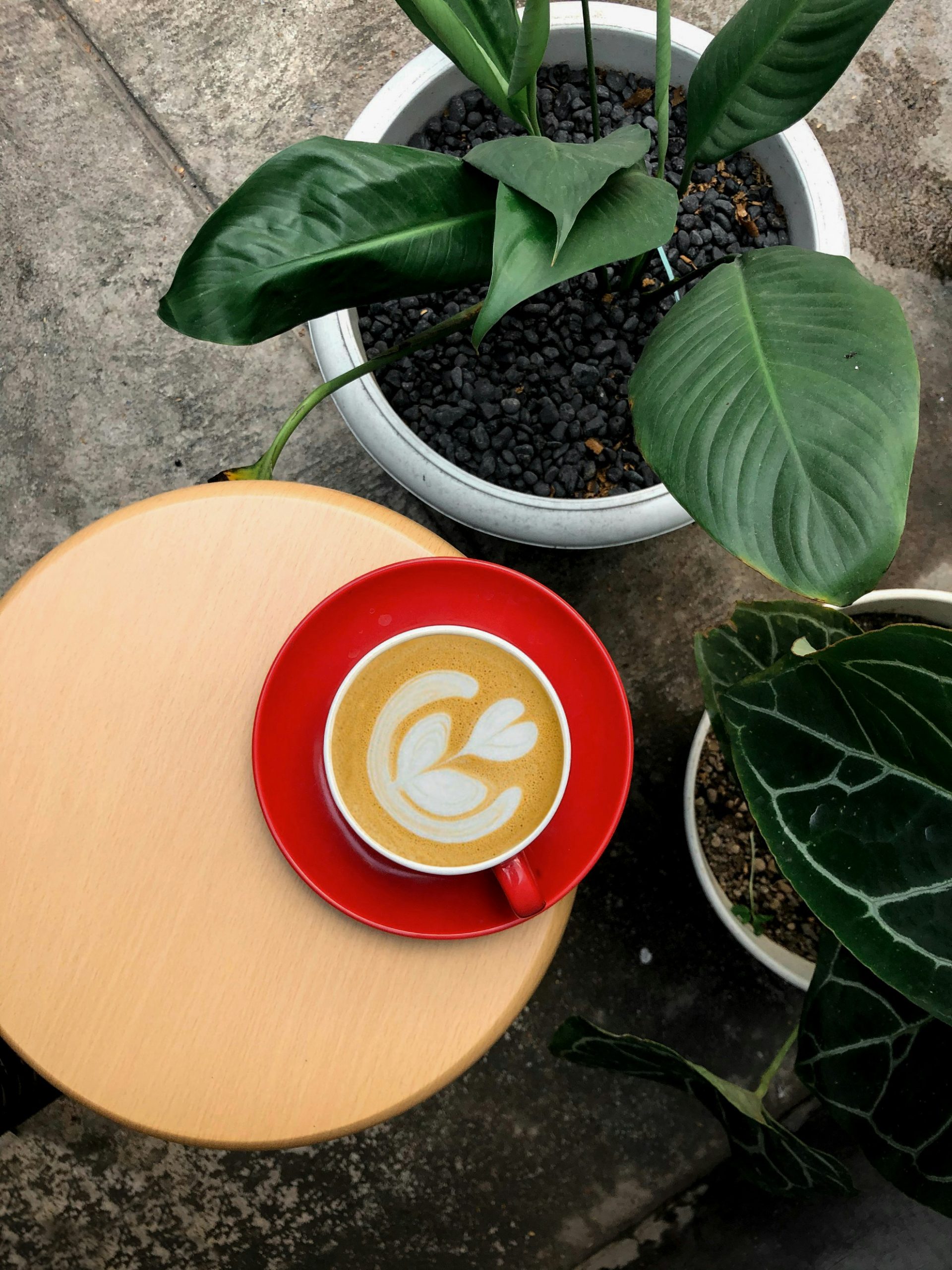 prayudha-saputra-vA7NPqPqwlQ-unsplash