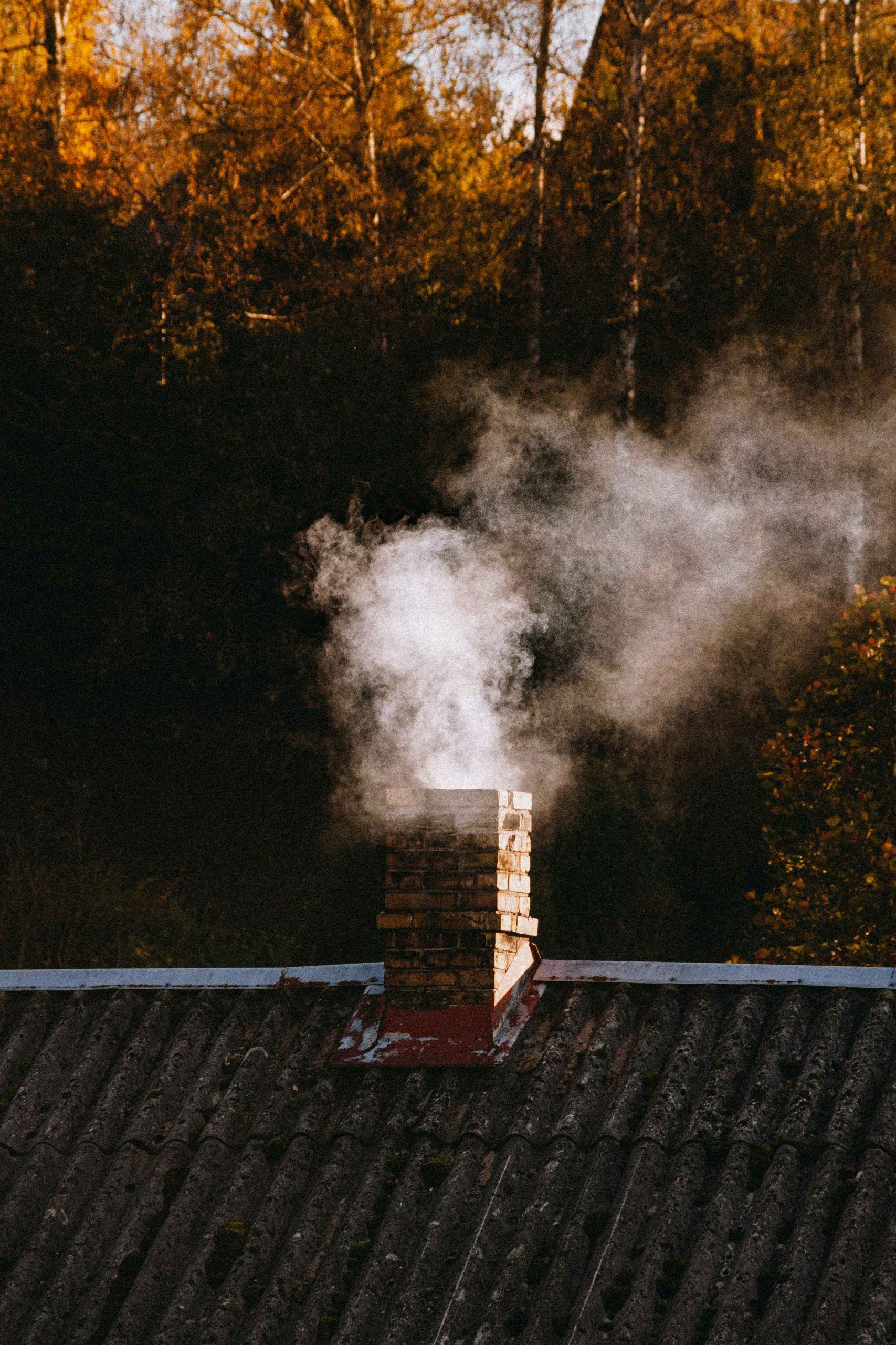 ben-kupke-L_L2ZnBJZnc-unsplash copy