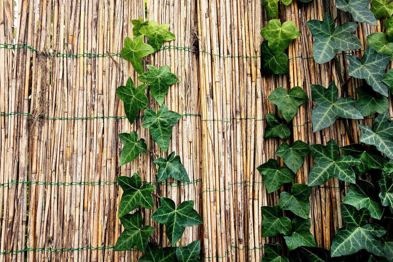 fence-3053579_1280