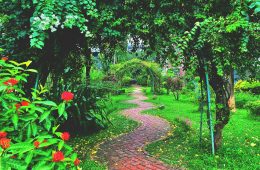 ishmak-rahat-rafi-1cDDLdTw7U4-unsplash copy