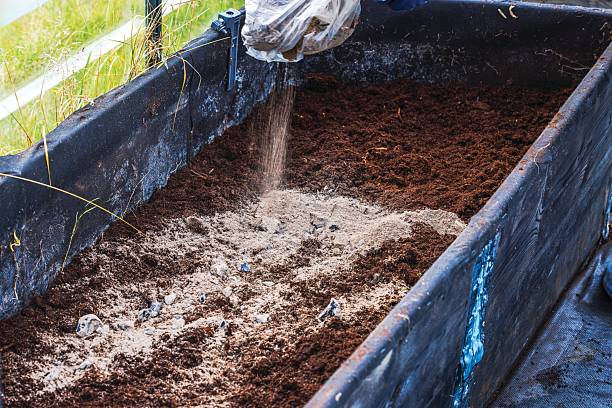 Person adding wood ash to planting