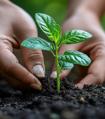 planting-9001234_1280