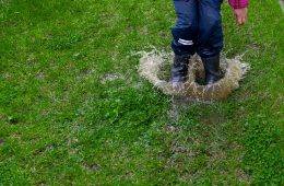 puddle-5298641_1280