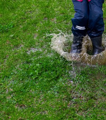 puddle-5298641_1280