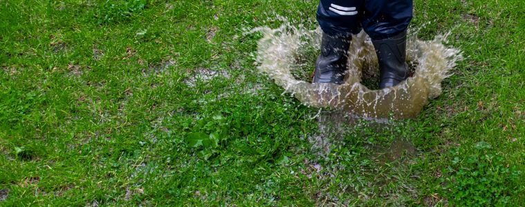 puddle-5298641_1280