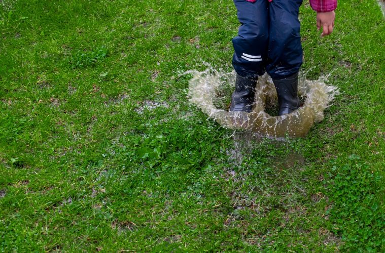 puddle-5298641_1280