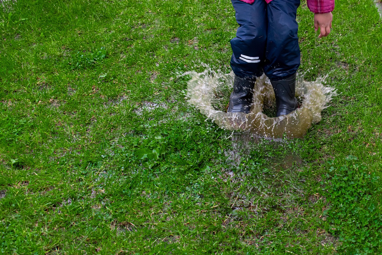 puddle-5298641_1280