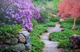 spring-3404740_1280