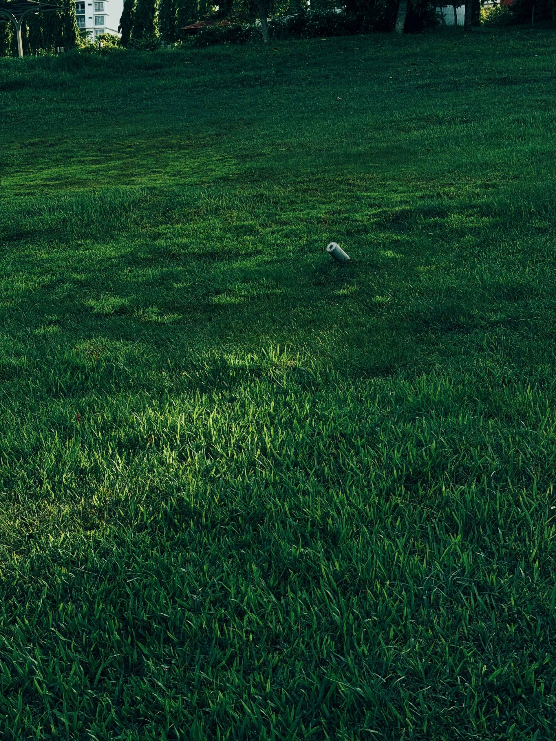 zafree-pinano-pJqDLUtUZdo-unsplash copy