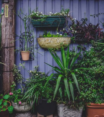 cherry-laithang-DEAIMSWjxxI-unsplash