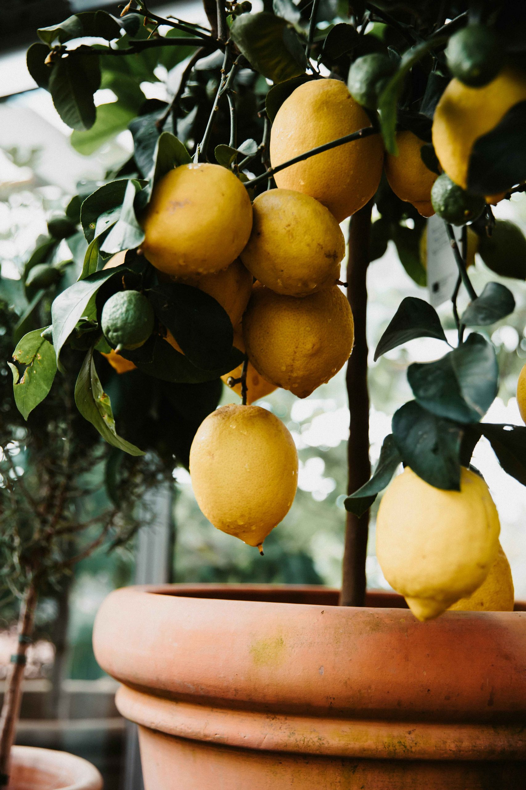 ellie-ellien-d46jhc2sw60-unsplash copy