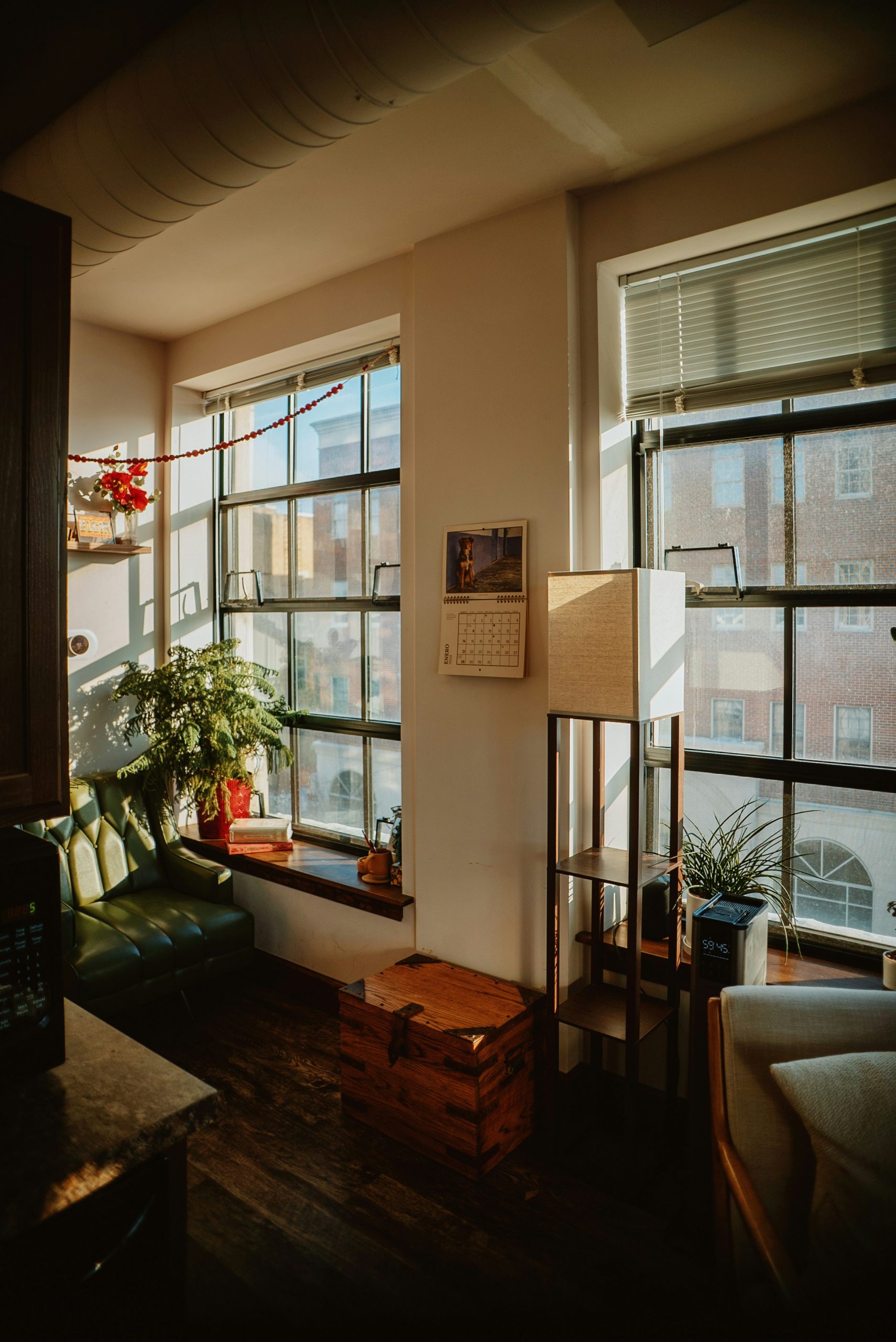 evan-wise-lnSyq-qz2Ds-unsplash
