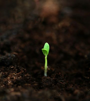 fahim-mohammed-SWAHvtC8S2E-unsplash