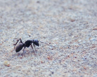 jenny-chambers-WIGe9QMVclM-unsplash