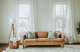 pexels-leah-newhouse-50725-6480707