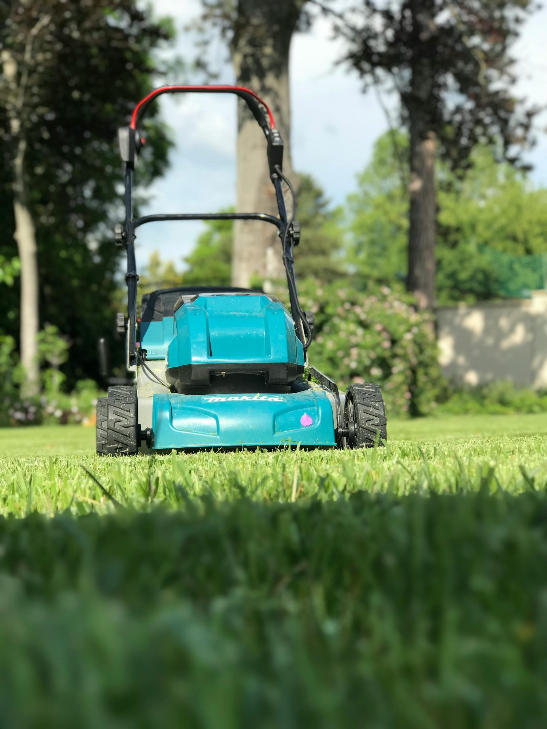 pexels-vanda-bako-595755871-17151642
