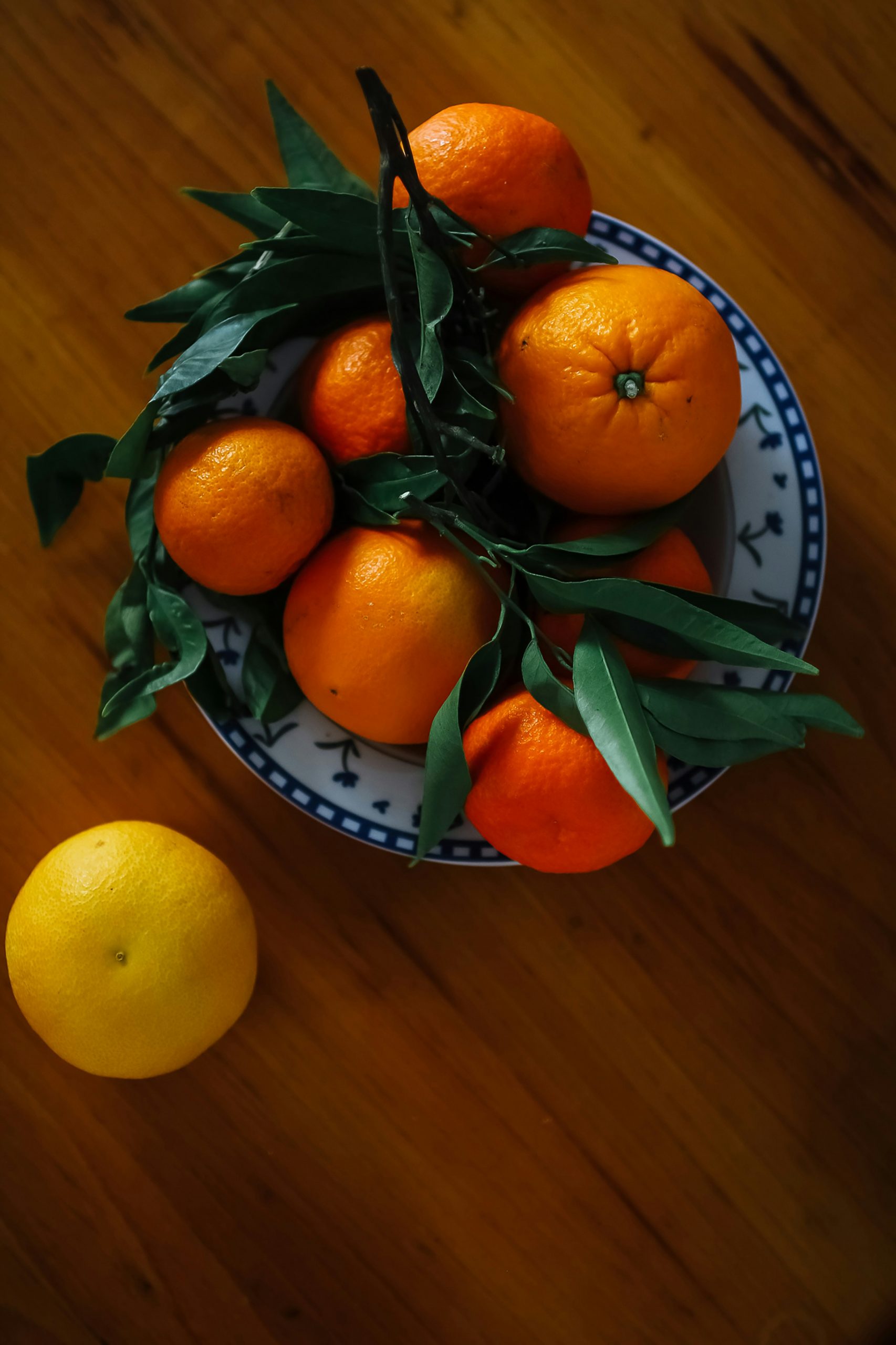 stella-marchuk-W5gv1tcueGk-unsplash