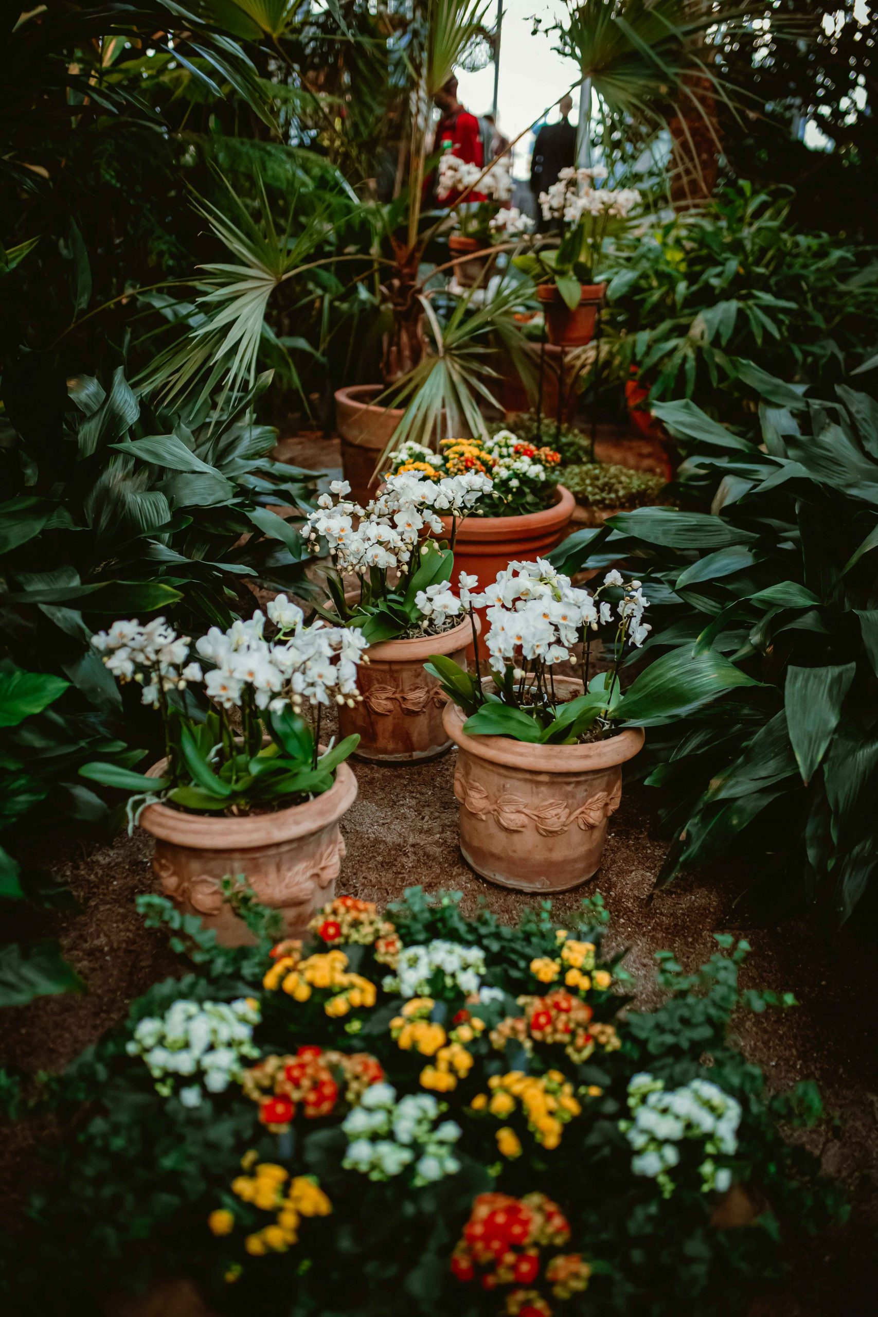 hoang-mai-nguyen-QNTXk3lCnlA-unsplash copy