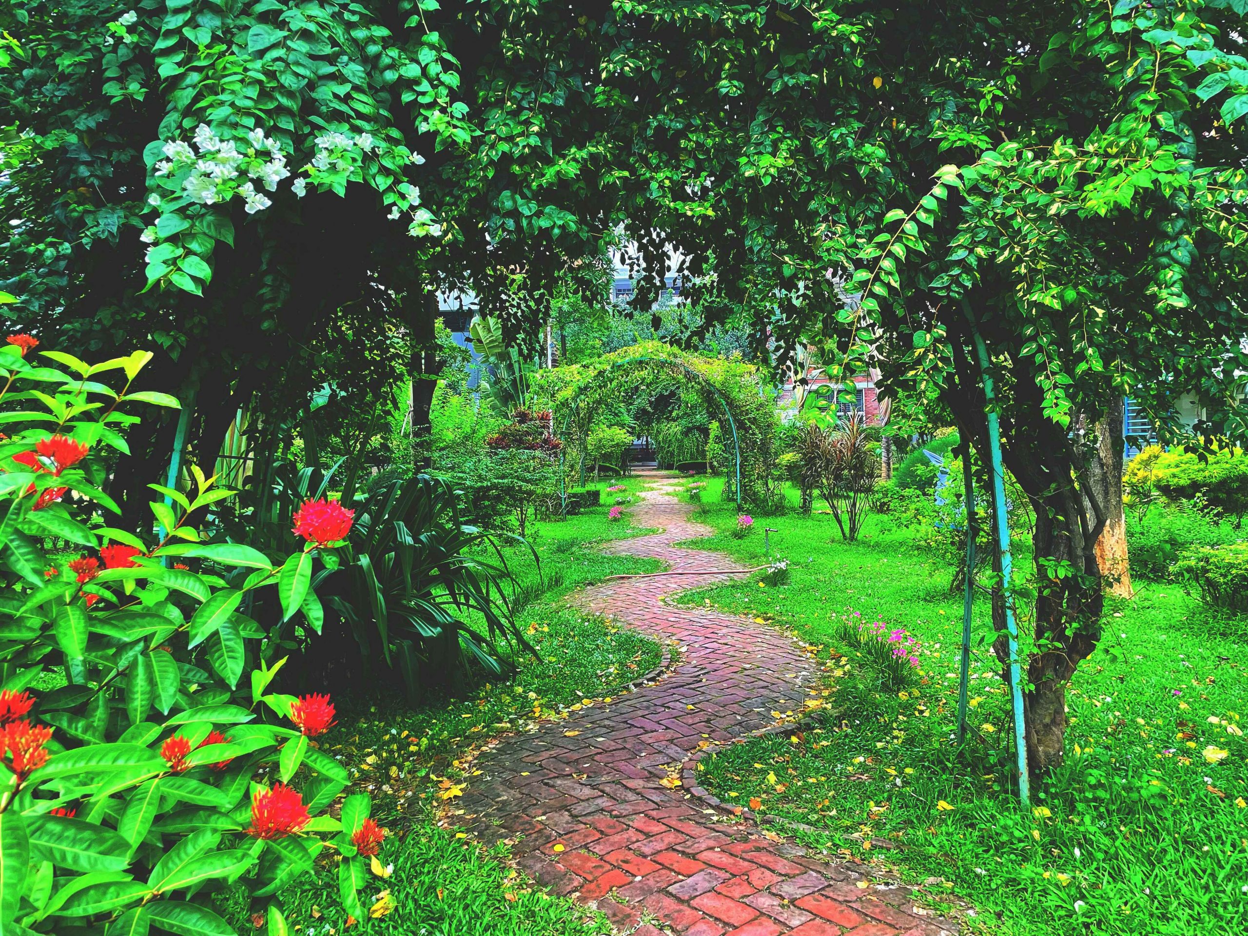 ishmak-rahat-rafi-1cDDLdTw7U4-unsplash copy