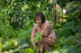 pexels-nguy-n-b-o-trung-1751109-20258695 copy