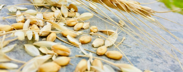 pic-studio-UCDq_blrONY-unsplash