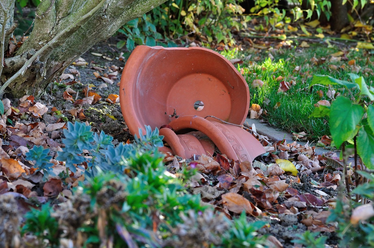 plant-pot-199122_1280