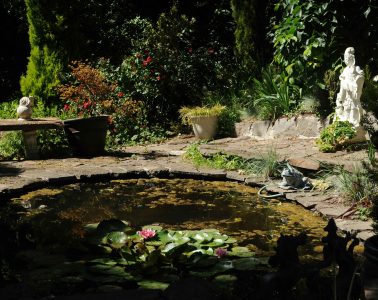wonderlane-G-Y4Cz2Mrn0-unsplash copy