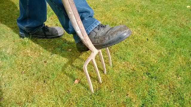 garden-1208987_640