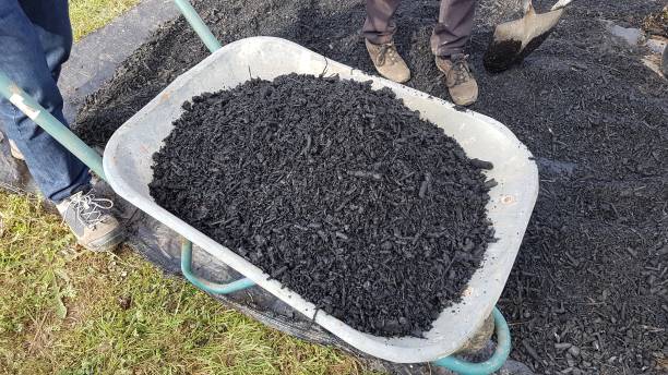 use of biochar in the vegetable garden.