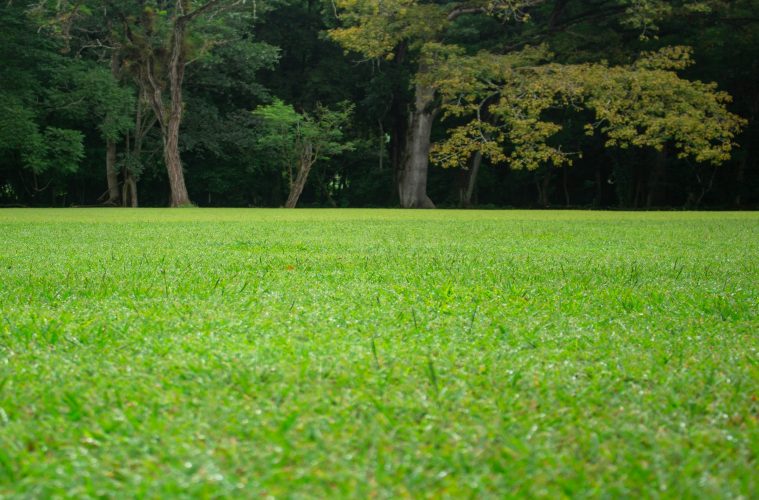 ivan-calderon-sJxqvqiiGQE-unsplash