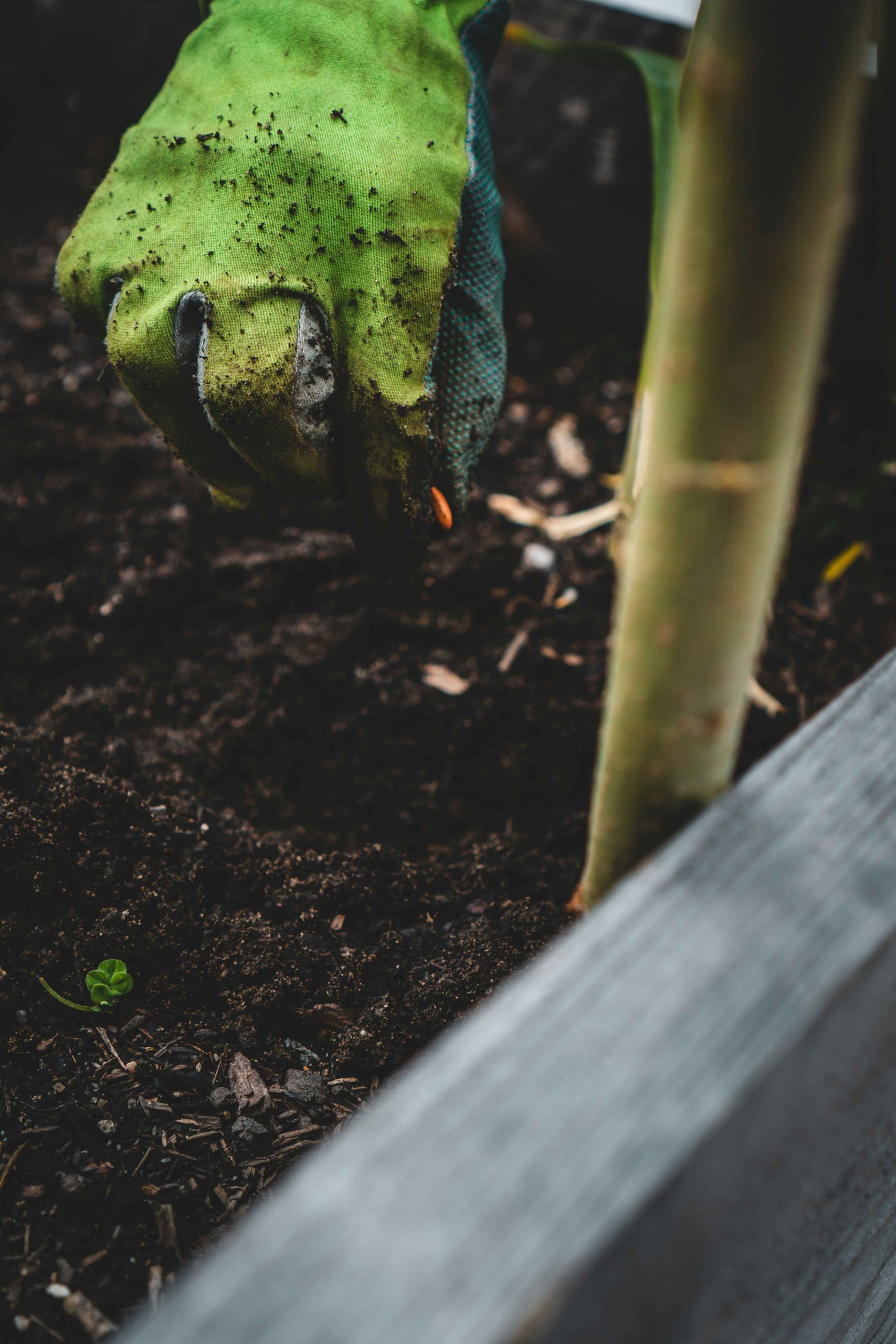 jonathan-kemper-wzYc-_TIk8o-unsplash copy