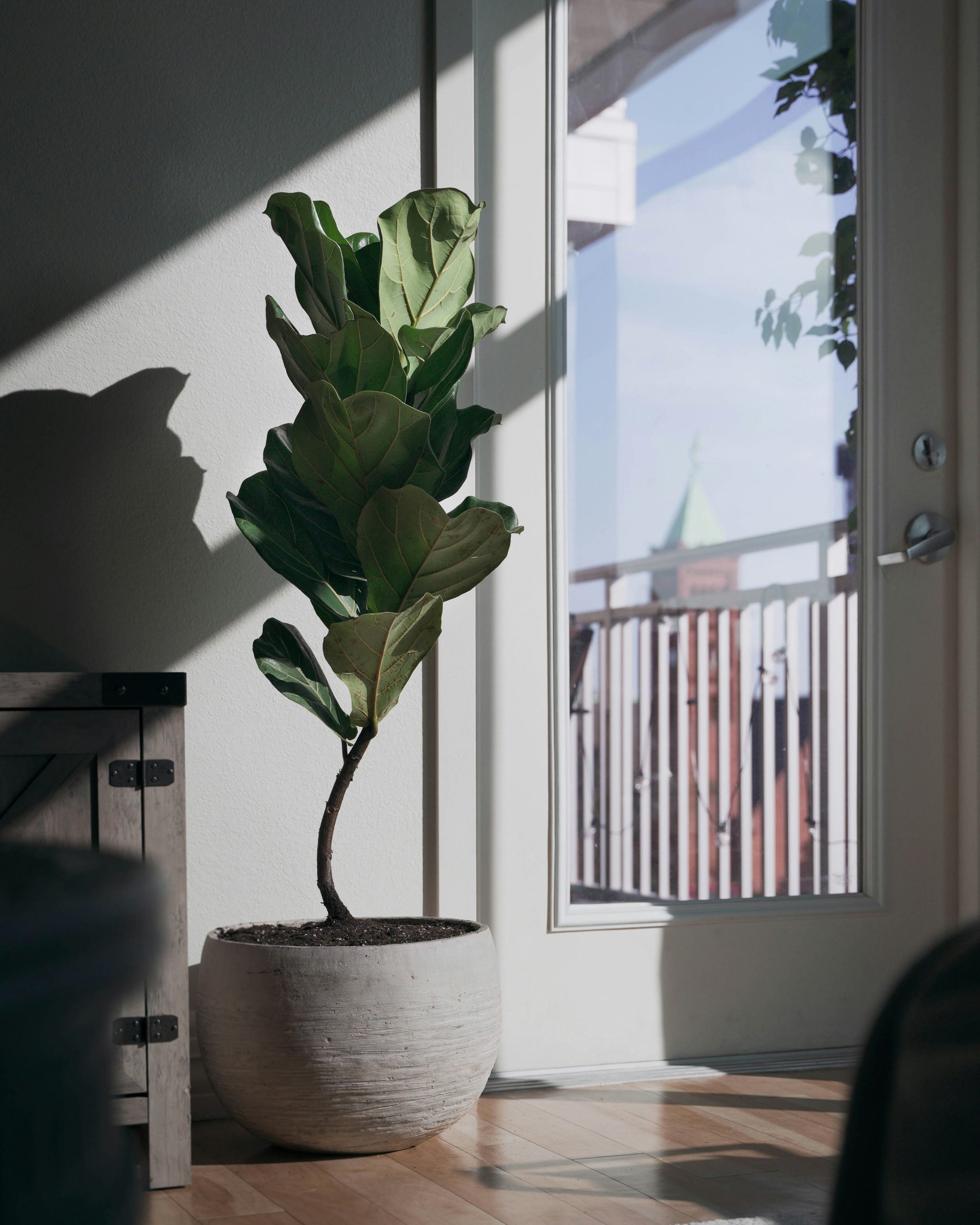 karthik-sridasyam-l53aoaOAfyI-unsplash