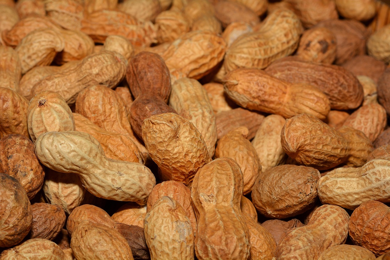 peanuts-618547_1280