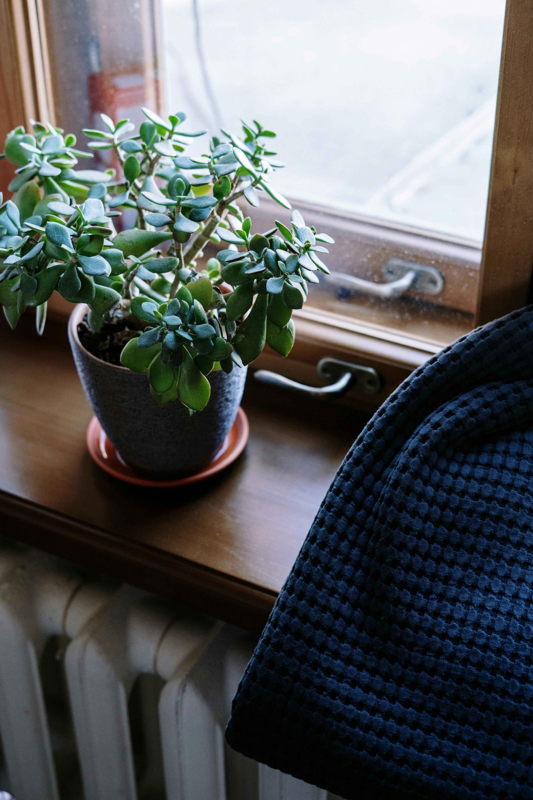 pexels-cottonbro-4045620 copy