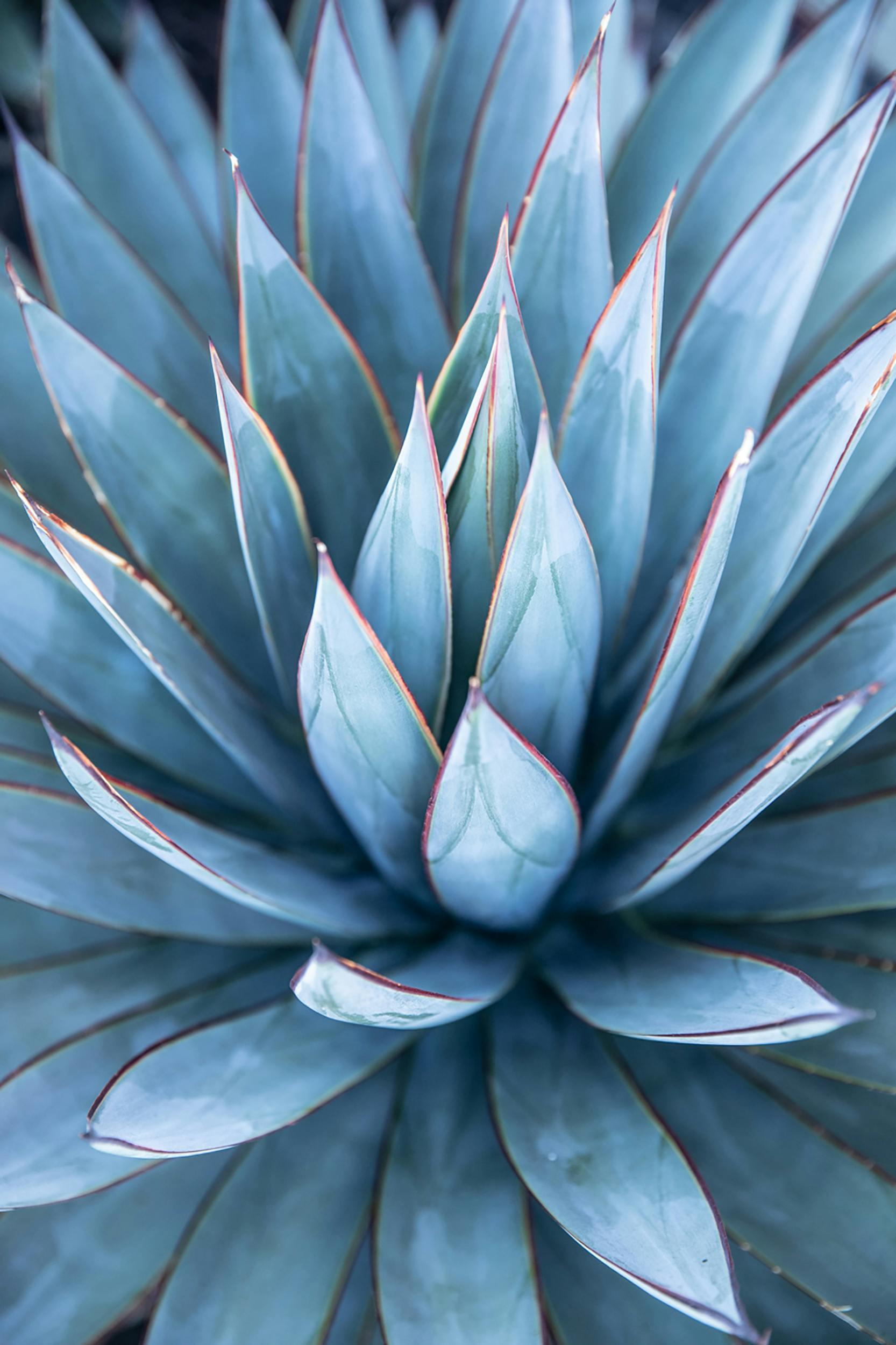 pexels-ekaterinabelinskaya-4921883