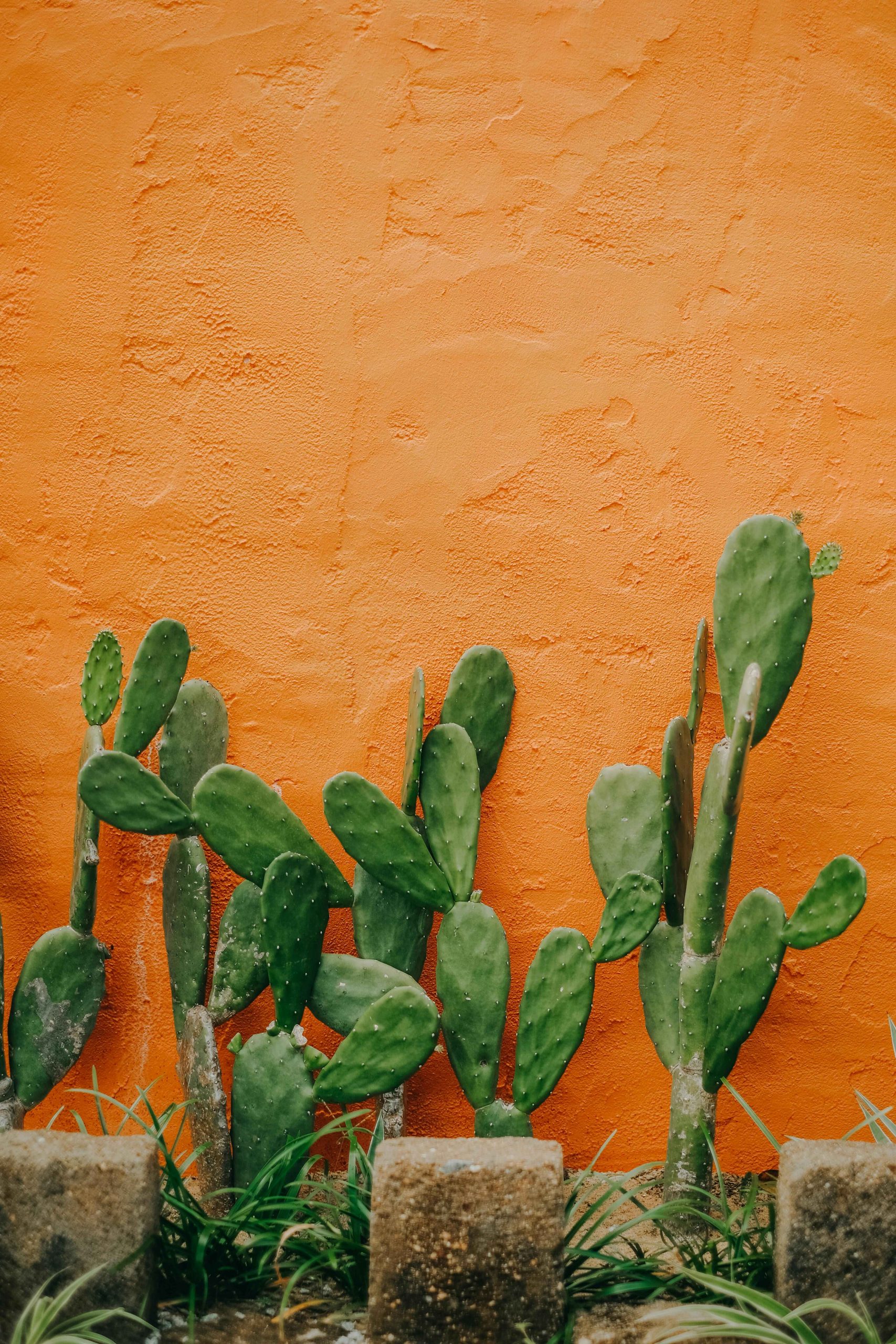 pexels-nguyendesigner-11018303 copy-min