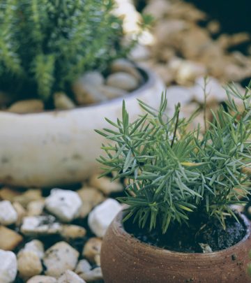 pexels-punkistador-619464